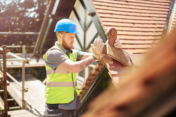 Best Roof Gutter Cleaning  in New Whiteland, IN