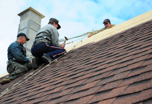 Professional Roofing Contractor in New Whiteland, IN